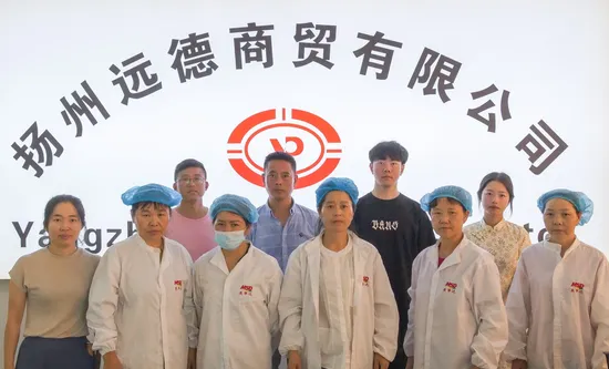 Creative New Style Plush Lion Toy